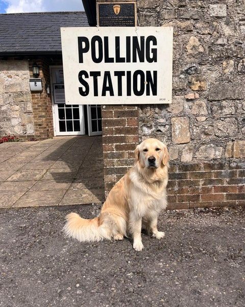 polling