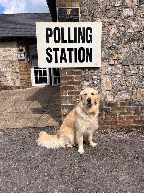 polling